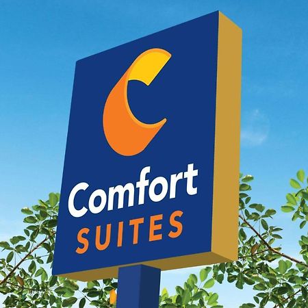 Comfort Suites Кловіс Екстер'єр фото
